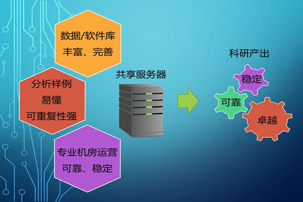 高防硬防服务器在美国市场的优势解析